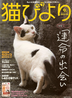 雑誌「猫びよりNo.71 2013年09月号」にカフェダムの犬猫ちゃん達が登場 